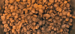 Elevated Roast